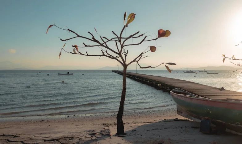 Прошката на един баща: Историята на Иван и загубата на дъщеря му