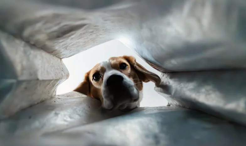 Разбити сърца и неразбрана любов: Историята на Мария от Пловдив