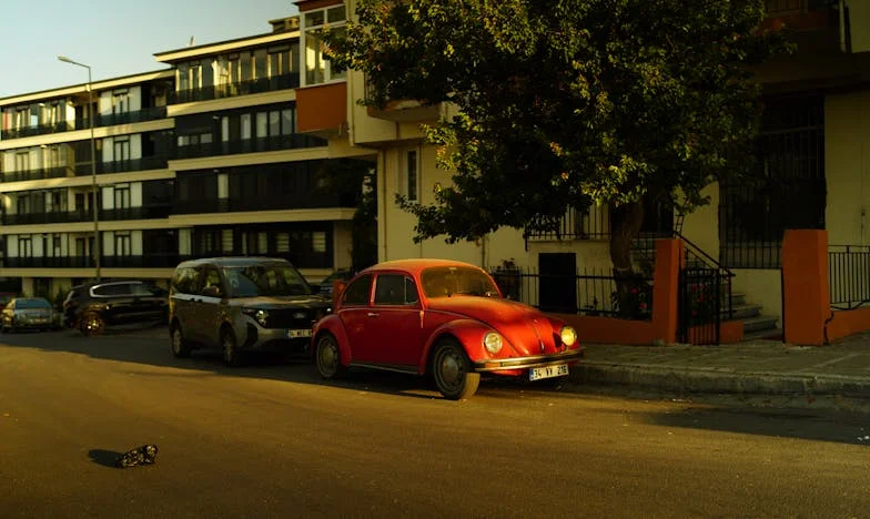 Счупените окови: Историята на една българска майка