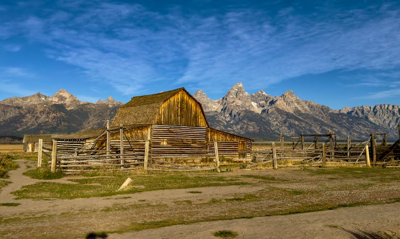 Синът ми и снаха ми се нанесоха до нас, а аз мечтаех за щастливи семейни събирания. После разбрах истинската ѝ същност.