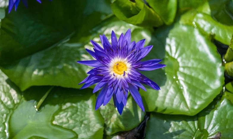 Синът ми се върна у дома след развода – и апартаментът ми се превърна в бойно поле на спомени и болки