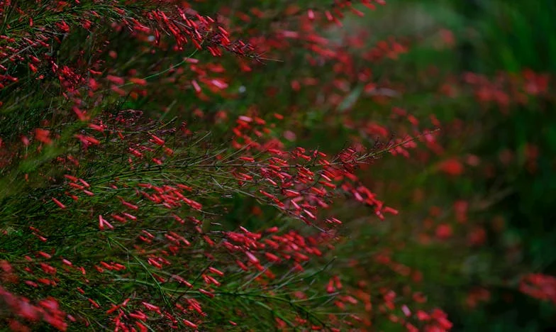 След болницата: Когато родителите ти затворят вратата