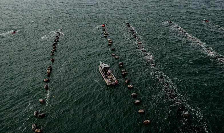 Снежният ден, в който се разпаднах – и започнах да се събирам наново