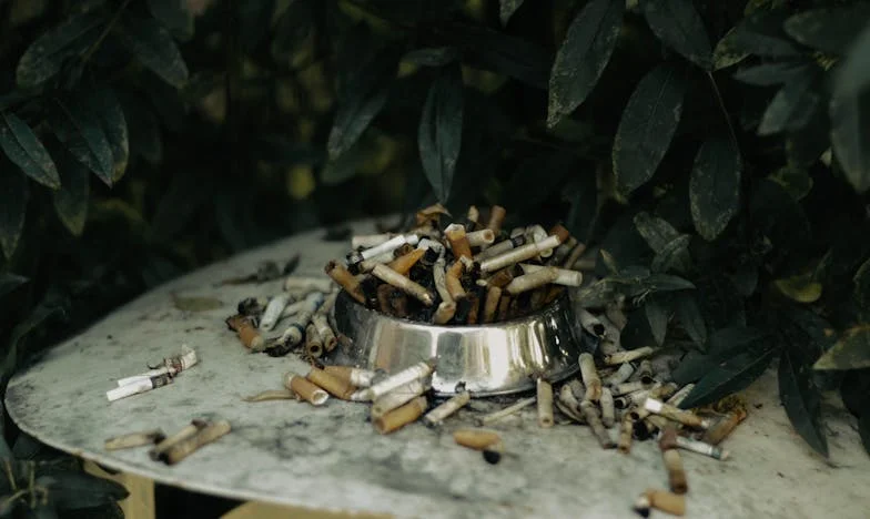 Снимката под изтривалката: Истината, която не исках да видя