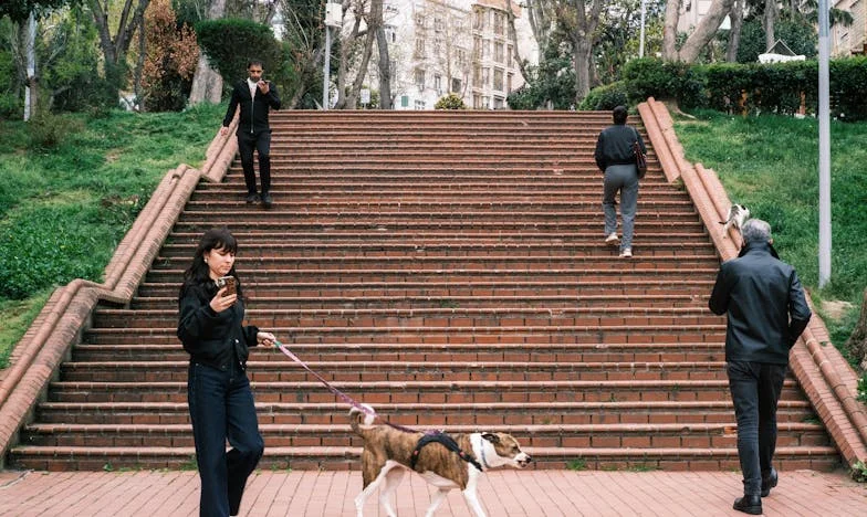 Сребърната коса на малкия Борис: Чудото и болката в нашето семейство