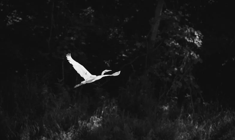 Тайната, която разби тишината: Историята на едно българско семейство