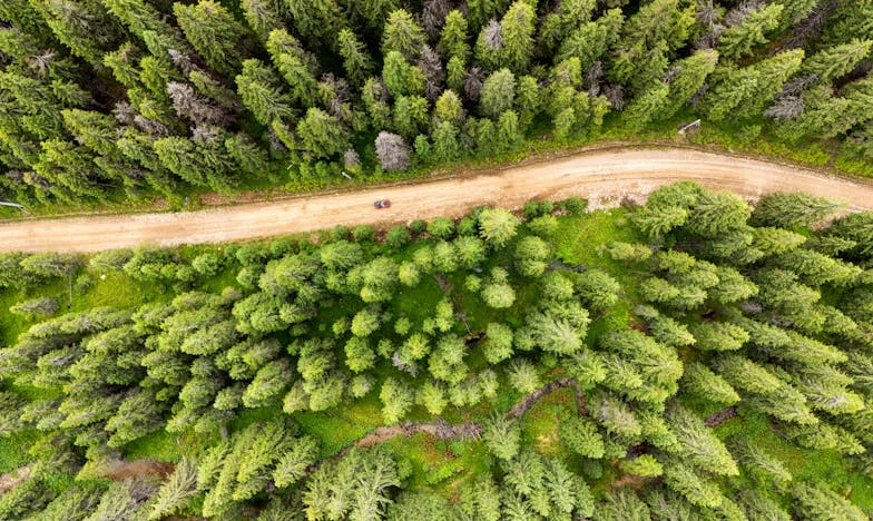 Тъщата ми вярва, че съм превърнала мъжа си в егоист – но аз просто го научих да се защитава