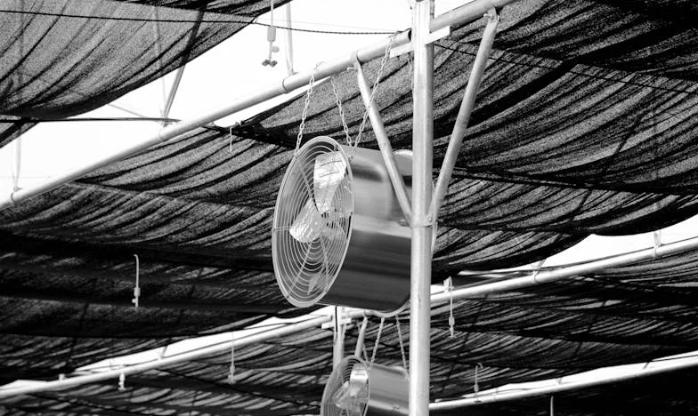 „Ти си виновна, че сме на ръба“: Майчините думи, които още кънтят в мен