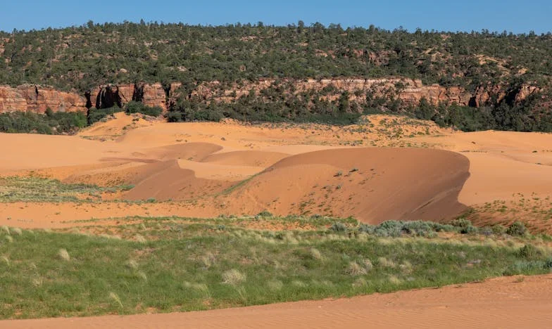 „Виж ги как са се нагласили сватовете. Възрастни хора, а се държат като петли“: Историята на Рубина и семейните битки за щастие