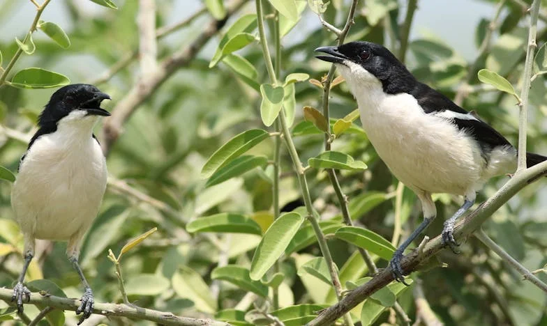 Взех телефона на най-добрата си приятелка и чух гласа на съпруга си