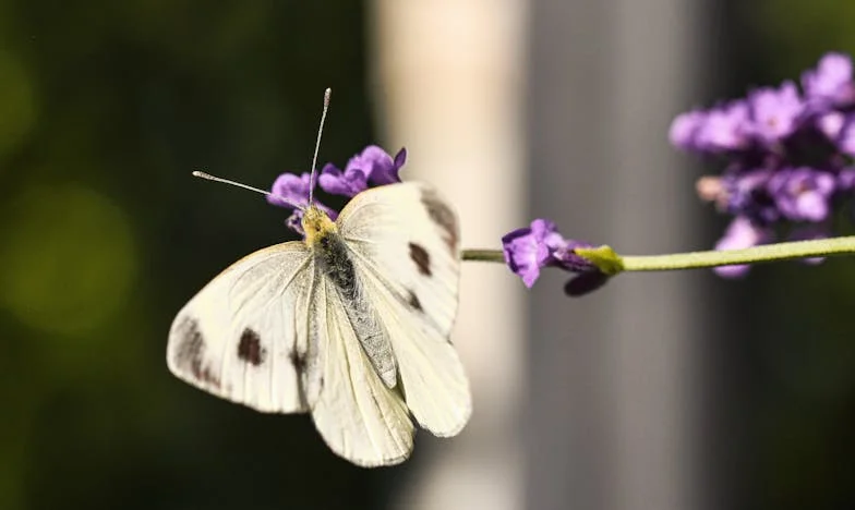 Забравена от своите: Ултиматумът на една майка