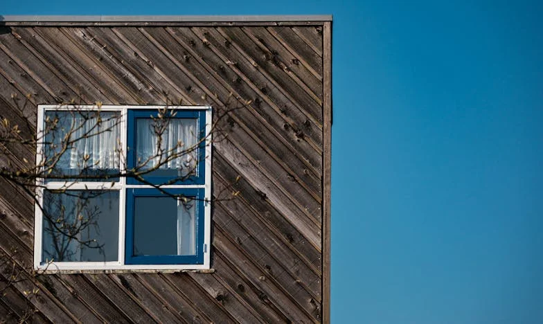 Забравената майка: Самота в сърцето на София