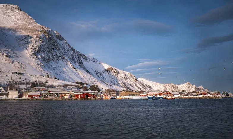 Завещанието на свекърва ми: Истината, която разруши семейството ни