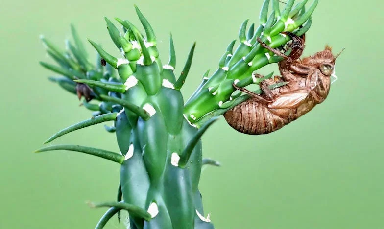 Бившият зет и половината апартамент: Истината, която разкъса семейството ми