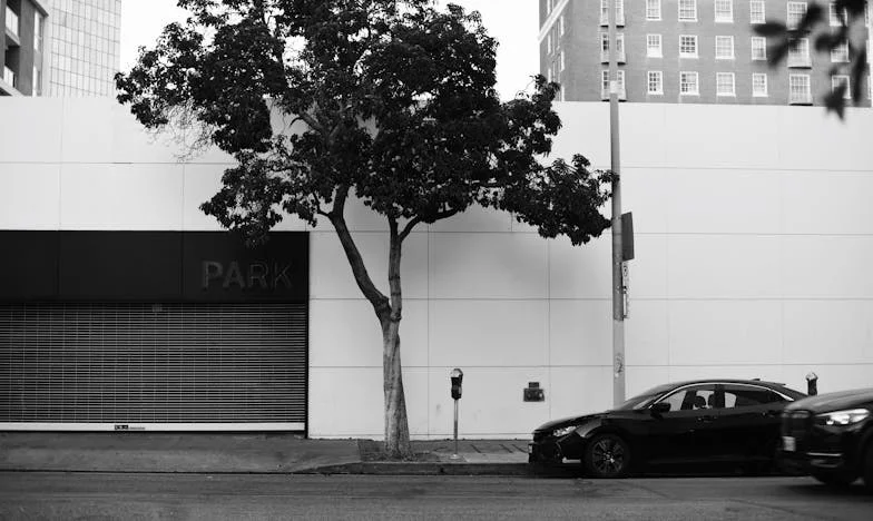 Братът, който ме предаде, и домът, който не можах да отворя