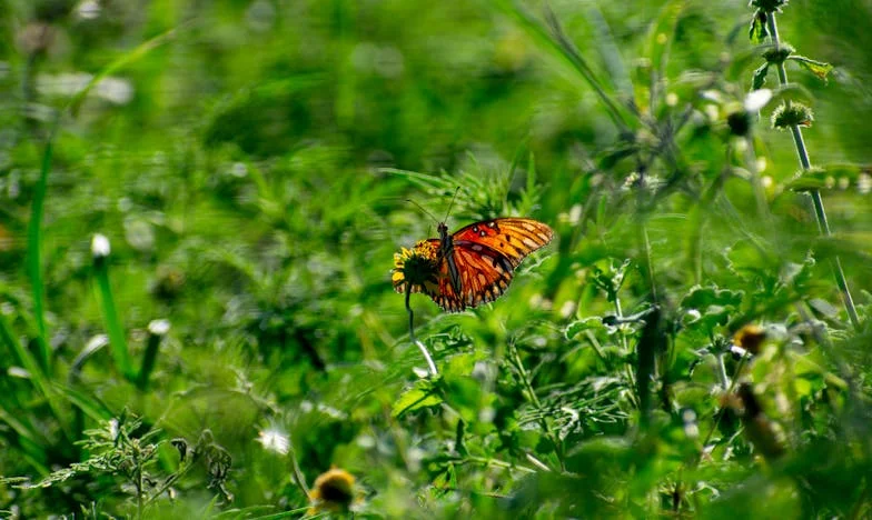 Чуждата изповед: Истината, която разби тридесет години брак