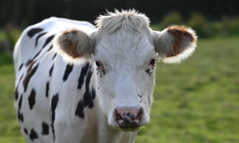Дадох дома си за децата си – а сега се чувствам забравена