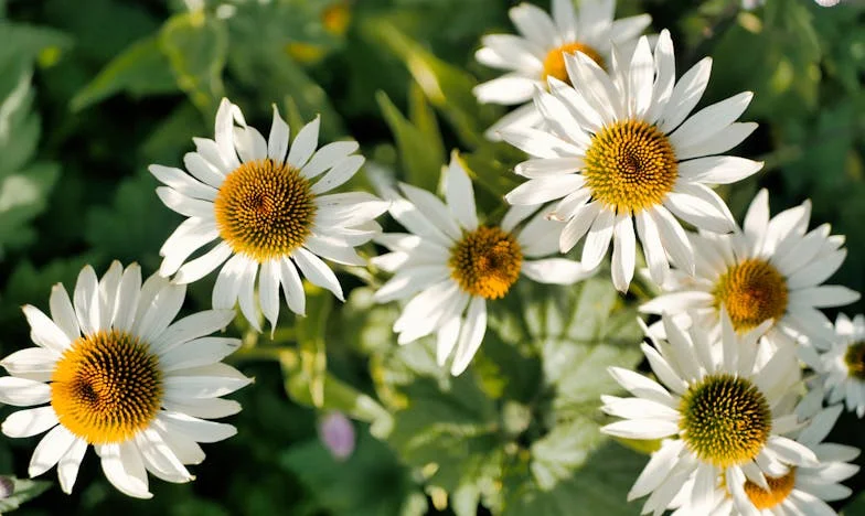 Дадох всичките си спестявания, за да помогна на Петър – и това промени целия ни блок