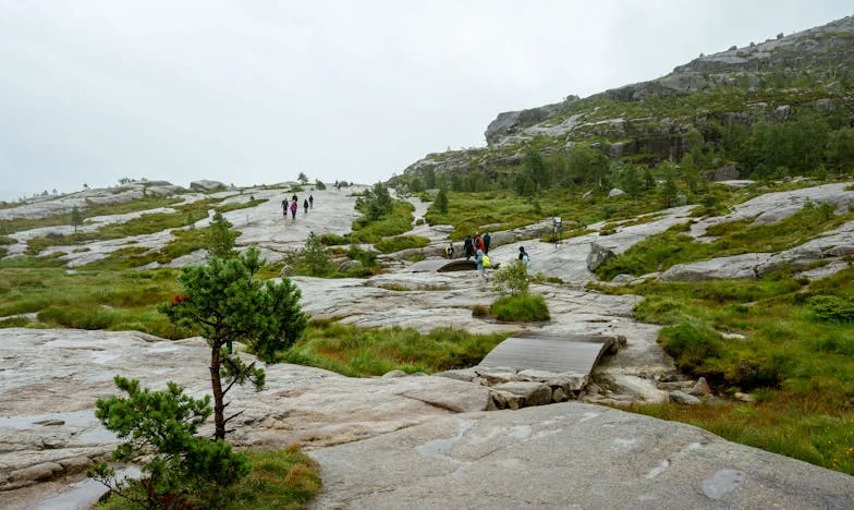 Дядо се ожени за съседката след смъртта на баба: сега не иска да има нищо общо с нас