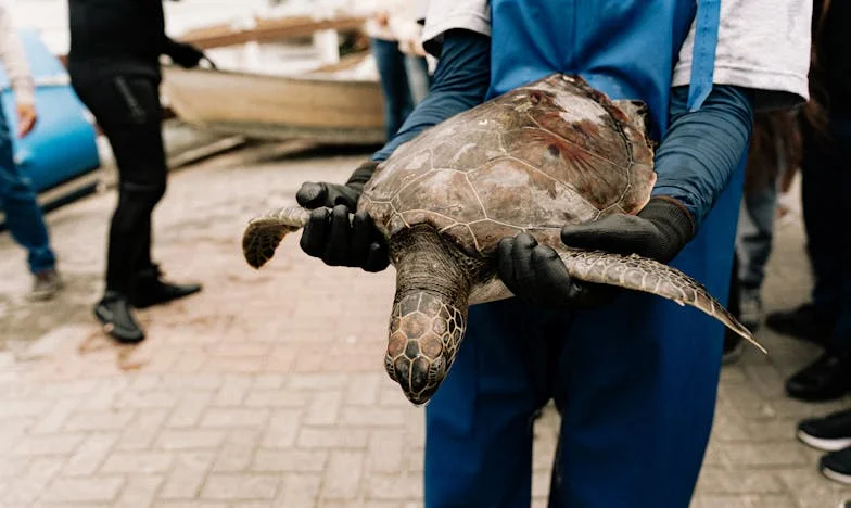 Изгоних лелята на мъжа ми: Кога търпението се превръща в предателство към себе си?