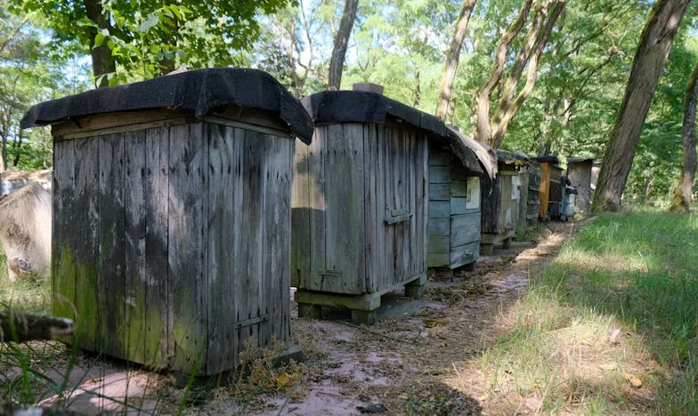 Когато домът се превърне в чуждо място: История за размяната на апартаменти и изгубената интимност