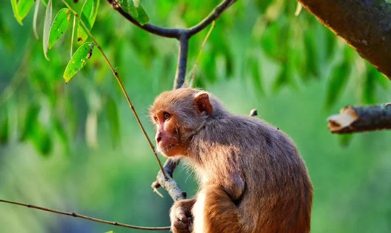 Когато любовта боли: Историята на една българска майка