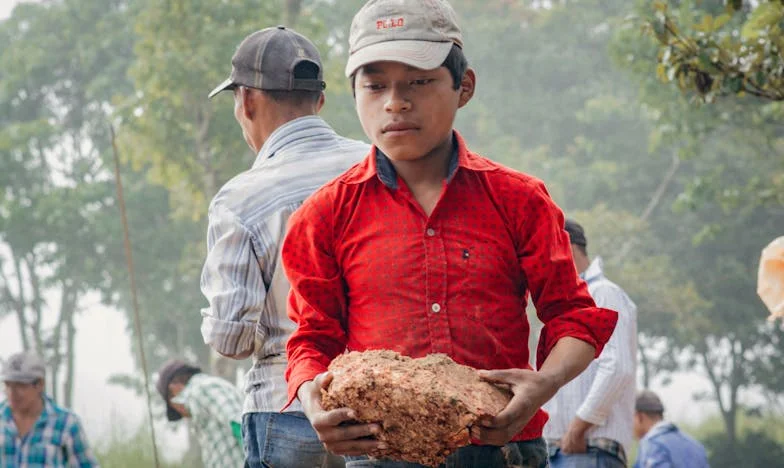 Когато равенството влезе в кухнята: История от сърцето на едно софийско семейство