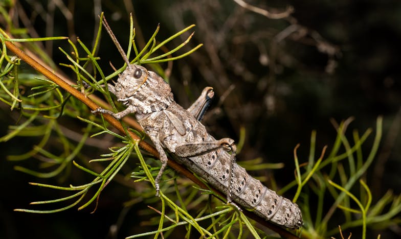 Когато синът ти избере път, който не разбираш