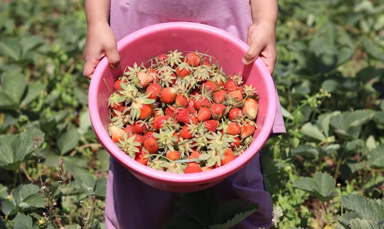 Лъжи, мълчания и ново начало – Пътят на една българка към себе си