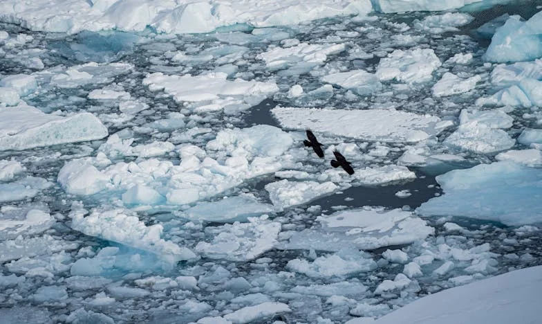 Майка ми дойде да живее при нас – но бързо разбрах, че това беше грешка