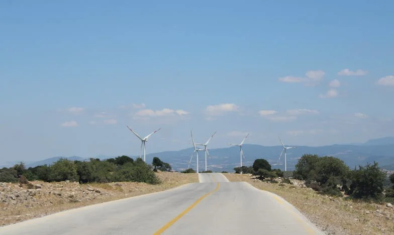 Майка ми ме предупреди, но аз не я послушах: Истината за свекърва ми Катя