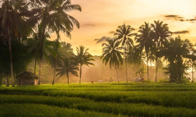 Между две майки: Отмъщението на една снаха