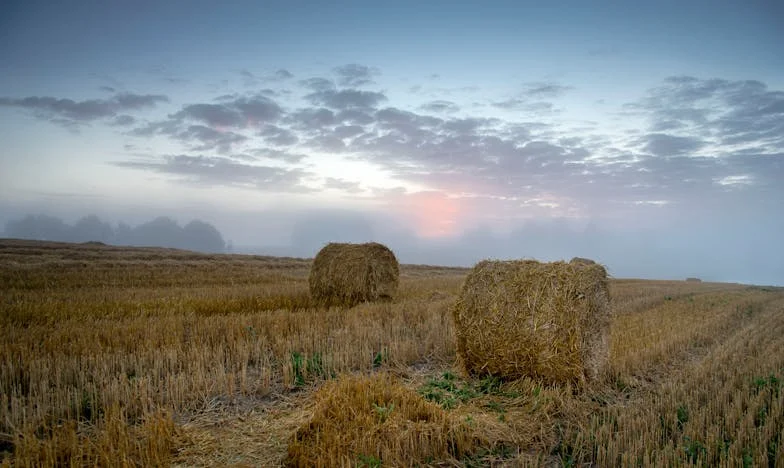 Между тишината и бурята: Как намерих мир в брака си чрез вяра