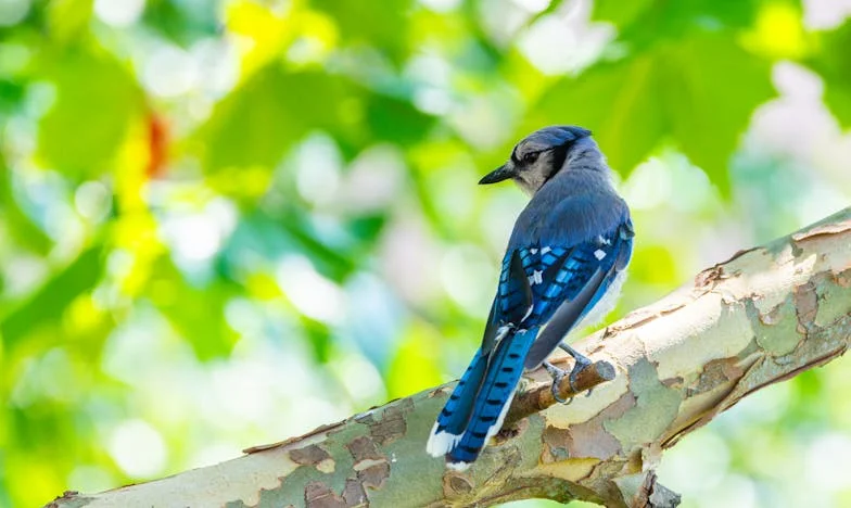 Нощта, в която загубих Мария: Изповед на една българска баба, разкъсвана между вина и прошка