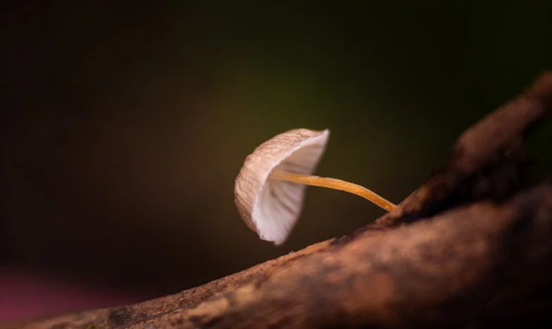 От горчилка към прошка: Защо реших да помогна на свекърва си