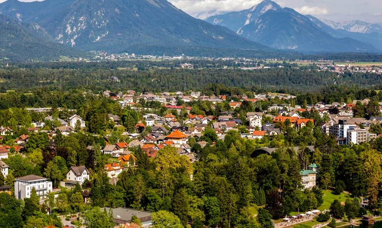 От лед до топлина: Как със свекърва ми преминахме през бурята към разбирателство