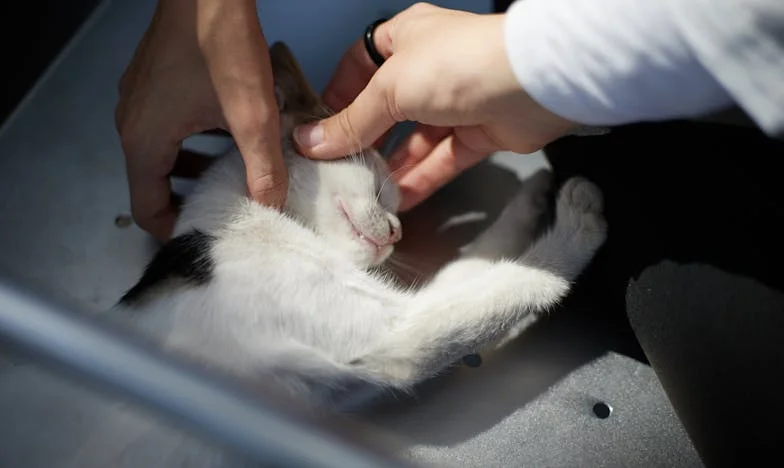 Почукването, което разби живота ми: Моята свекърва, изневярата и скръбта, която не можах да простя