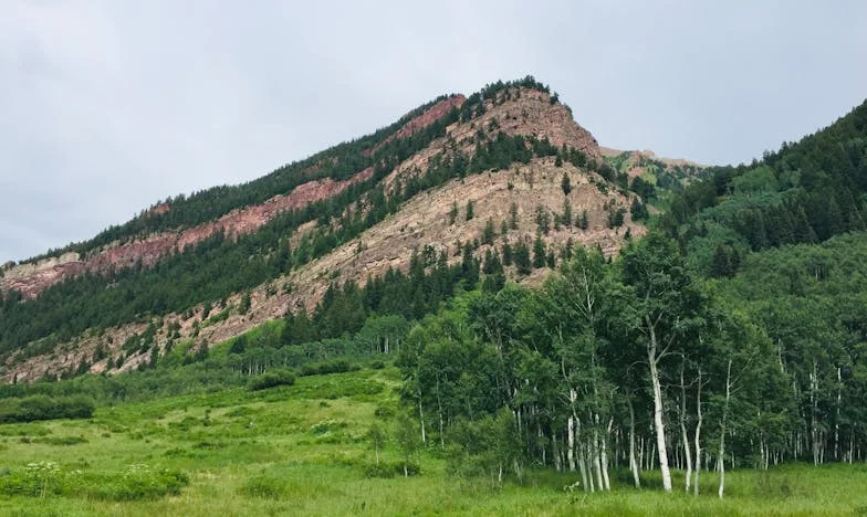 Под тежестта на греха: Историята на едно българско семейство между истината и любовта