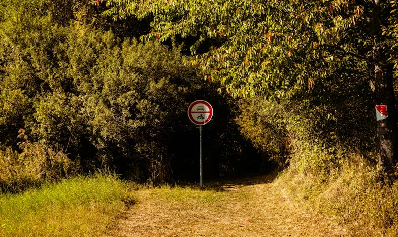 Под тежестта на миналото и очакванията: Моят живот като снаха в България