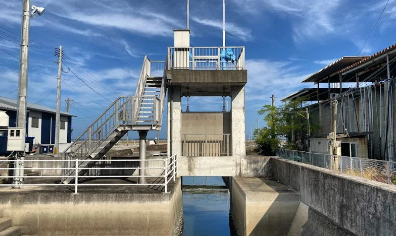 Разделеното семейство: Синът ми, неговият избор и внучето, което не мога да приема