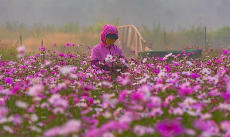Сърце на длан: История за жертва и любов в болничните коридори