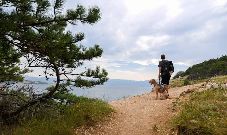 Сърце, разделено на две: Когато бащината любов не стига за всички