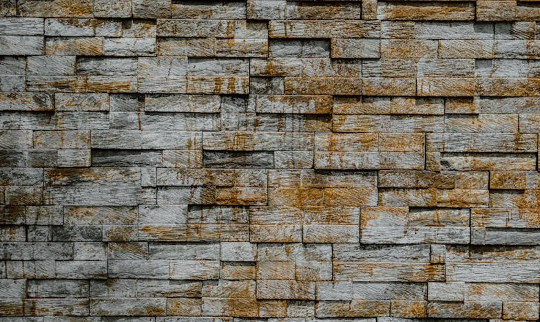 Семейството, което никога нямах – изповедта на Вероника