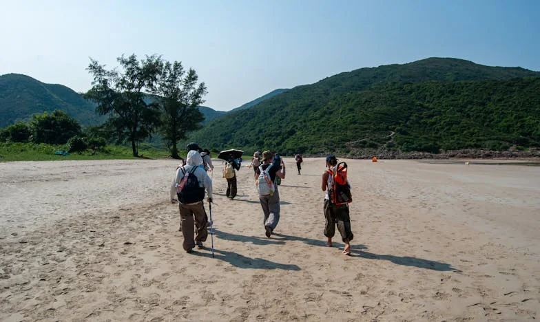 Сестра ми не вижда помощта ми: История за невидимата жертва