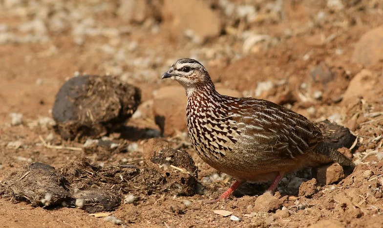 Сметката за любовта: История за изгубено доверие