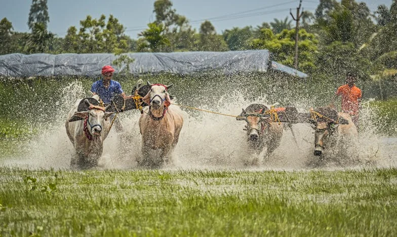 Срамът, който ме промени: История за вярата, приятелството и прошката