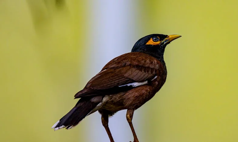 Светът ми се срина: Сестра ми и моят съпруг