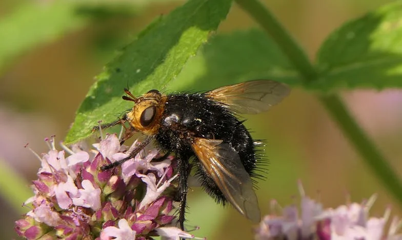 Тайна, която разруши всичко: Историята на едно българско семейство