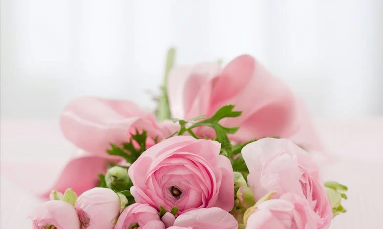 Търсенето на идеалния блендер: Историята на Мария и един пропуснат шанс