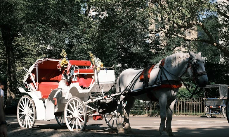 Телефонът, който разби сърцето ми: Историята на един баща и болката от насилието в детската градина